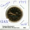 1989 Canadian Loonie