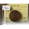 Image 1 : 1861 ICCS Graded - Nova Scotia -  One Cent - Large Bud - G4