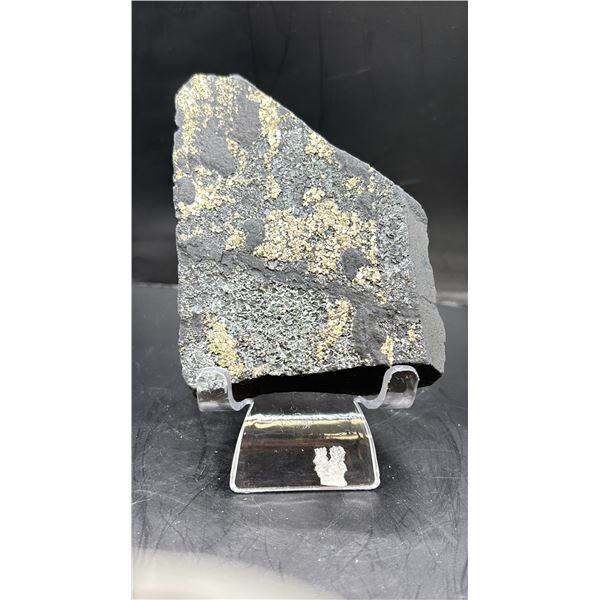 4" EMF SHUNGHITE WITH PYRITE LISTED RETAIL $780