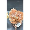 Image 3 : ARAGONITE SPHERE FORMATION LISTED RETAIL $680 & 3.6" HONEY CALCITE FORMATION LISTED RETAIL $680