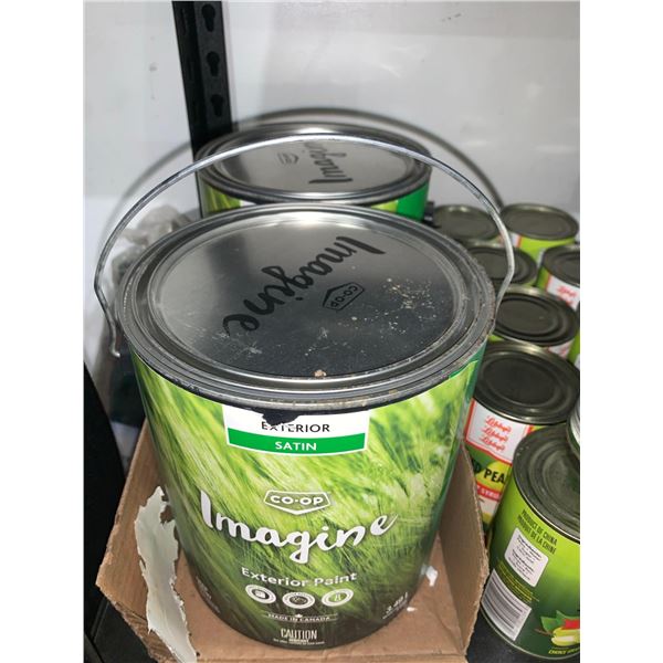 Coop Imagine Exterior Semi-Gloss Acrylic Exterior Latex Paint 2x3.78L