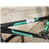 Image 3 : Infinity XMtwo Mountain Bike Black and Teal
