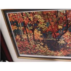 Framed Print  the Pool  By Tom Thomson