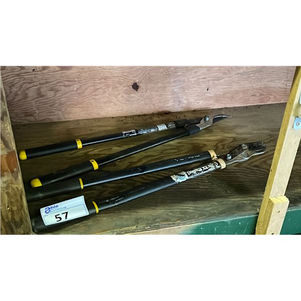 2 LONG HANDLE BRANCH SHEARS
