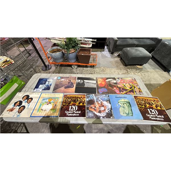 VINYL RECORD COLLECTION INCLUDING: GORDON LIGHTFOOT, CAT STEVENS, BONEY M, RED ROSE SPEEDWAY & MORE