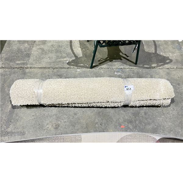 SHAG AREA RUG