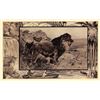 Image 1 : Trip Through The Wilds of Africa Visited by Roosevelt 25 Postcards