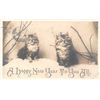 Image 2 : 8 Real Photo Cats & Dogs Postcards by Rotograph