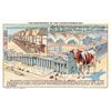 Image 8 : Set of 14 Shuyler's Candy Advertising Postcards