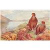 Image 2 : Set of 6 Tuck " British Game Birds" Postcards