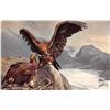Image 2 : Set of 6 Tuck Birds by Hans Schmidt Oilette Postcards