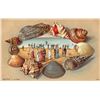 Image 2 : Group of 10 International Shell Border Greeting Postcards