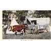 Image 2 : Group of 8 Ezra Meeker Historical Postcards