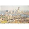 Image 10 : Group of 11 Jehovah Witness Postcards