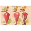 Image 1 : Group of 5 "Evolution of" Comic Postcards