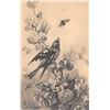Image 1 : Set of 6 Signed Artist French Bird Postcards & Wrapper