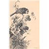 Image 2 : Set of 6 Signed Artist French Bird Postcards & Wrapper