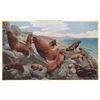 Image 8 : Group of 17 Detroit Publishing Milwaukee Public Museum Group Postcards