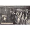 Image 8 : 8 U.S.Y. Chicago, Illinois Hog Slaughtering Factory Postcards