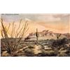 Image 8 : Group of 12 & Box "The Sunset Route As I Saw It" US View Postcards