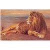 Image 1 : Group of 4 Tuck "Wild Animals" Big Cat Postcards
