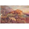Image 2 : Group of 4 Tuck "Wild Animals" Big Cat Postcards