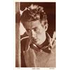 Image 2 : 9 Real Photo James Dean Actor Postcards