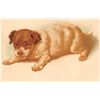 Image 2 : Group of 8 Greeting Dog Animal Postcards
