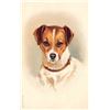 Image 8 : Group of 8 Greeting Dog Animal Postcards