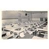 Image 1 : Group of 19 Ellis Island, New York Postcards & Wrapper