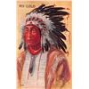 Image 2 : Group of 6 Early American Indian Postcards