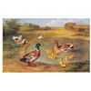 Image 2 : Set of 6 Edgar Hunt "Domestic Animals" Postcards