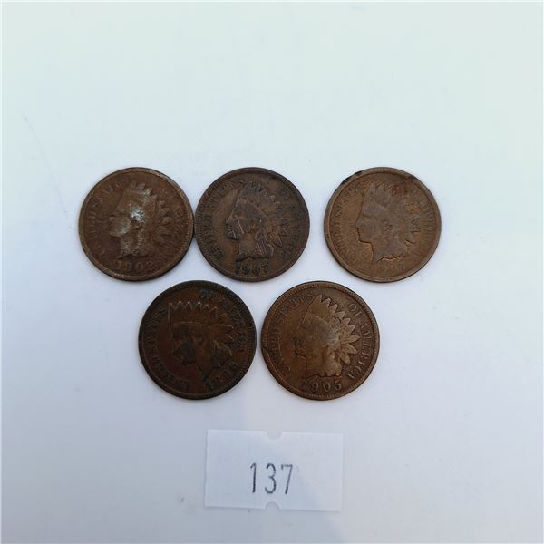 Five American Indian Head Pennies