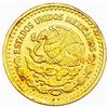 Image 2 : 2005 Mexico Gold 1/20th Libertad  GEM BU