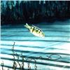 Image 2 : Save the Manatees by Wyland,