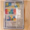 Image 6 : Mix Lego, Color Transparent Minis & Carrier