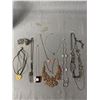 Image 1 : Lot of Various Necklaces.