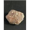 Image 2 : Vintage 2.5" Wide Shell Fossil