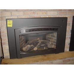 Enviro SIEG31 Fireplace (Fireplace only)