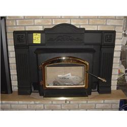Napoleon EPI-1101 Wood Insert w/ cast Surround & Gold Door
