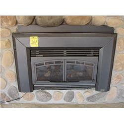 Lennox EDVI 25 Fireplace w screen and Surrond Kit