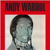 Image 2 : Warhol Poster: The American Indian Series (Red) by Warhol (1928-1987)