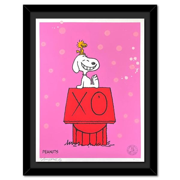 Snoopy & Woodstock on Red House by Mr. Andre