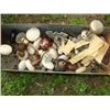 Image 1 : Large drawer filled with old door knobs