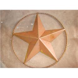 Metal Texas Star w/rope edging