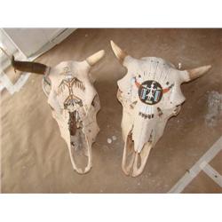Pair of painted cow skulls