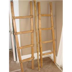 2 wood ladders & walking stick
