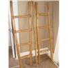 Image 1 : 2 wood ladders & walking stick