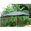 Image 1 : Large Patio Umbrella