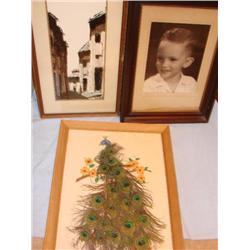 3 Framed Pictures-Peacock feathers,portrait,Spanish